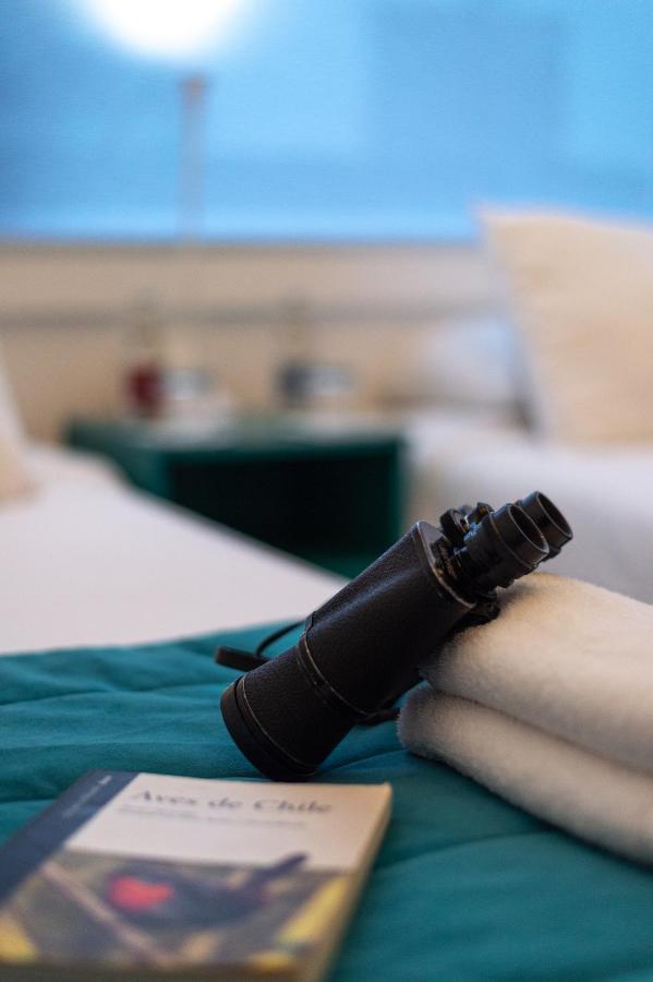 Hostal Boutique Terra Antarctica Пунта Аренас Екстериор снимка